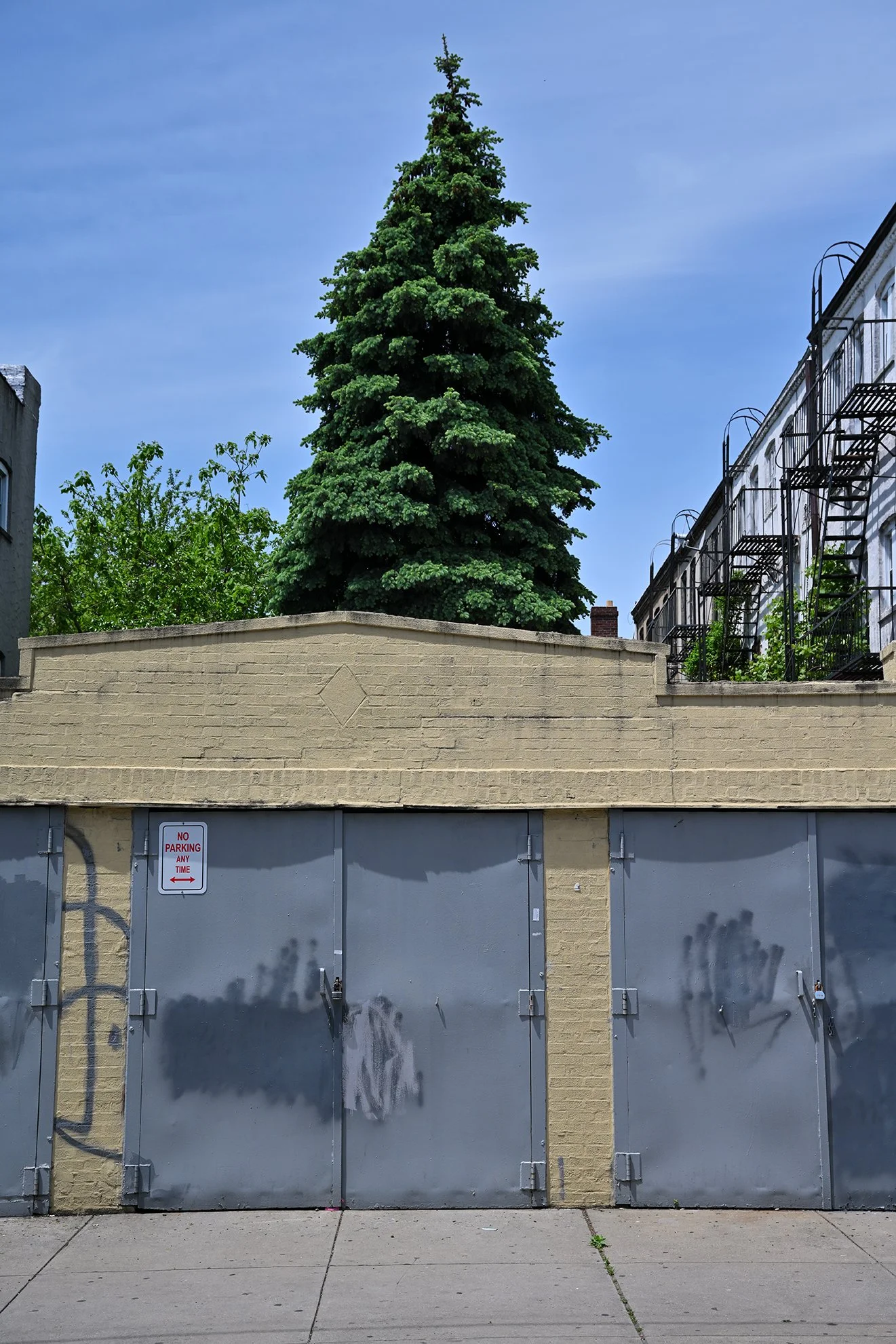 pinetree_greydoors_1F72.jpg