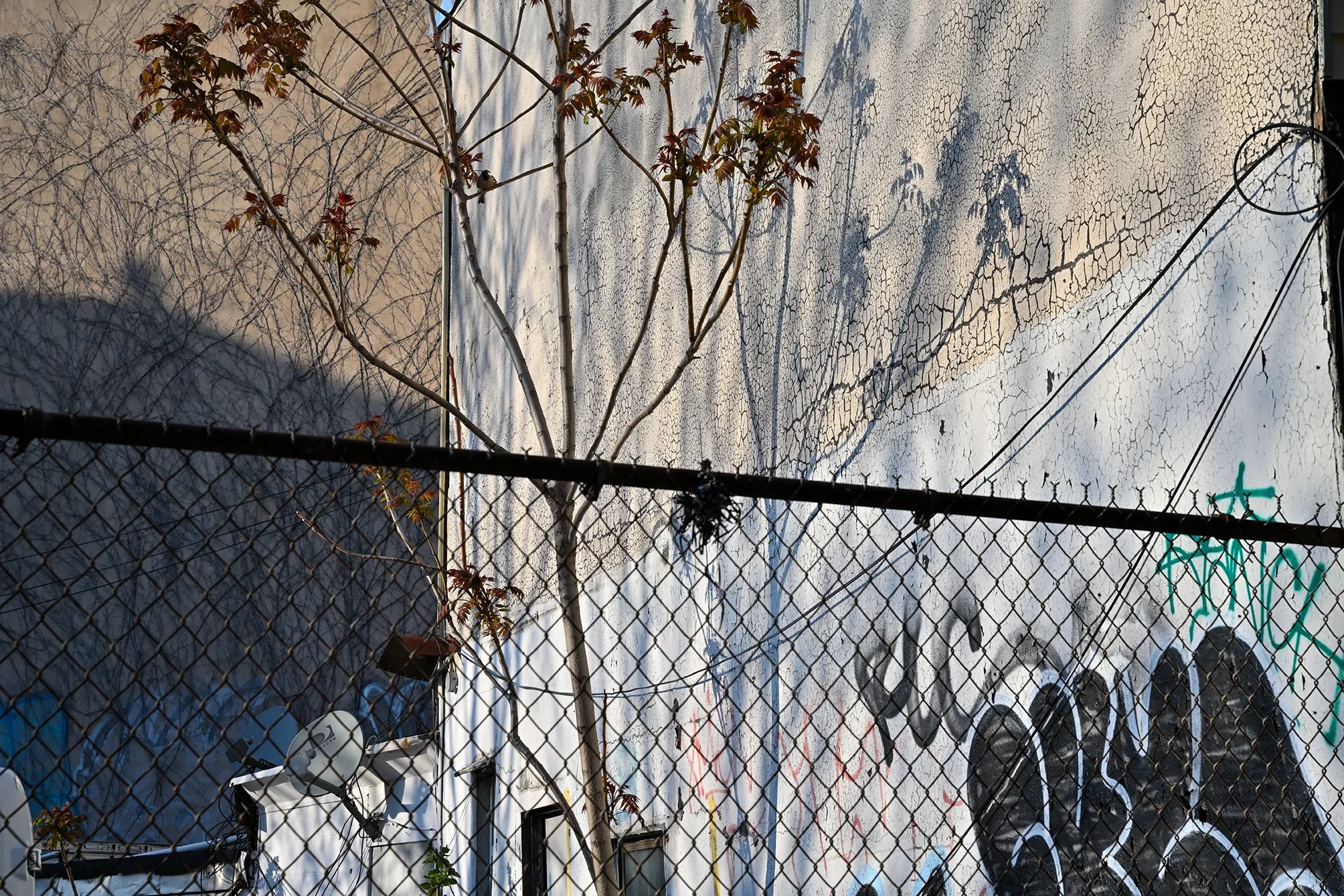 chainlinkFence_shadows_1F72.jpg