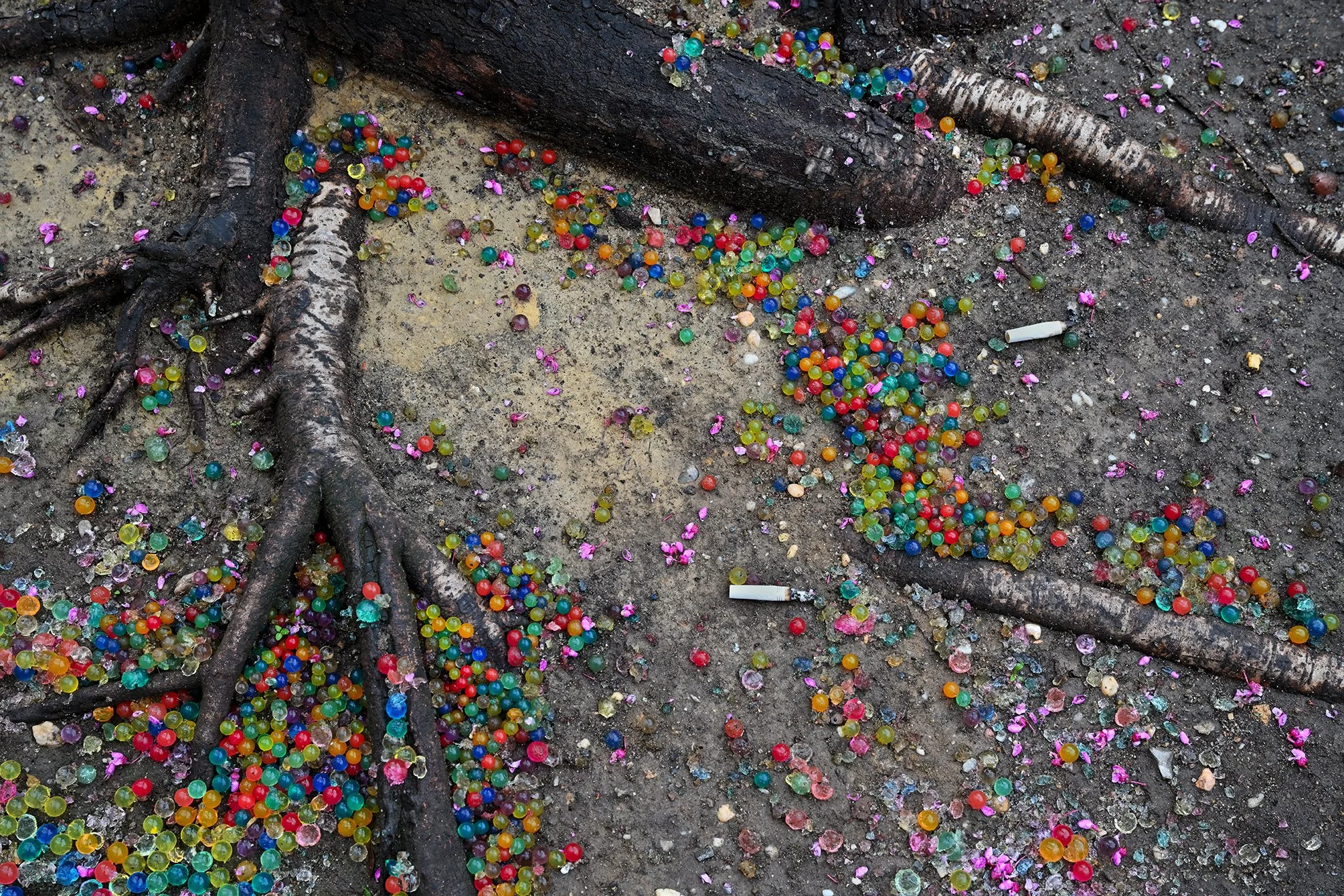 roots_colorcandy_b_1F72.jpg