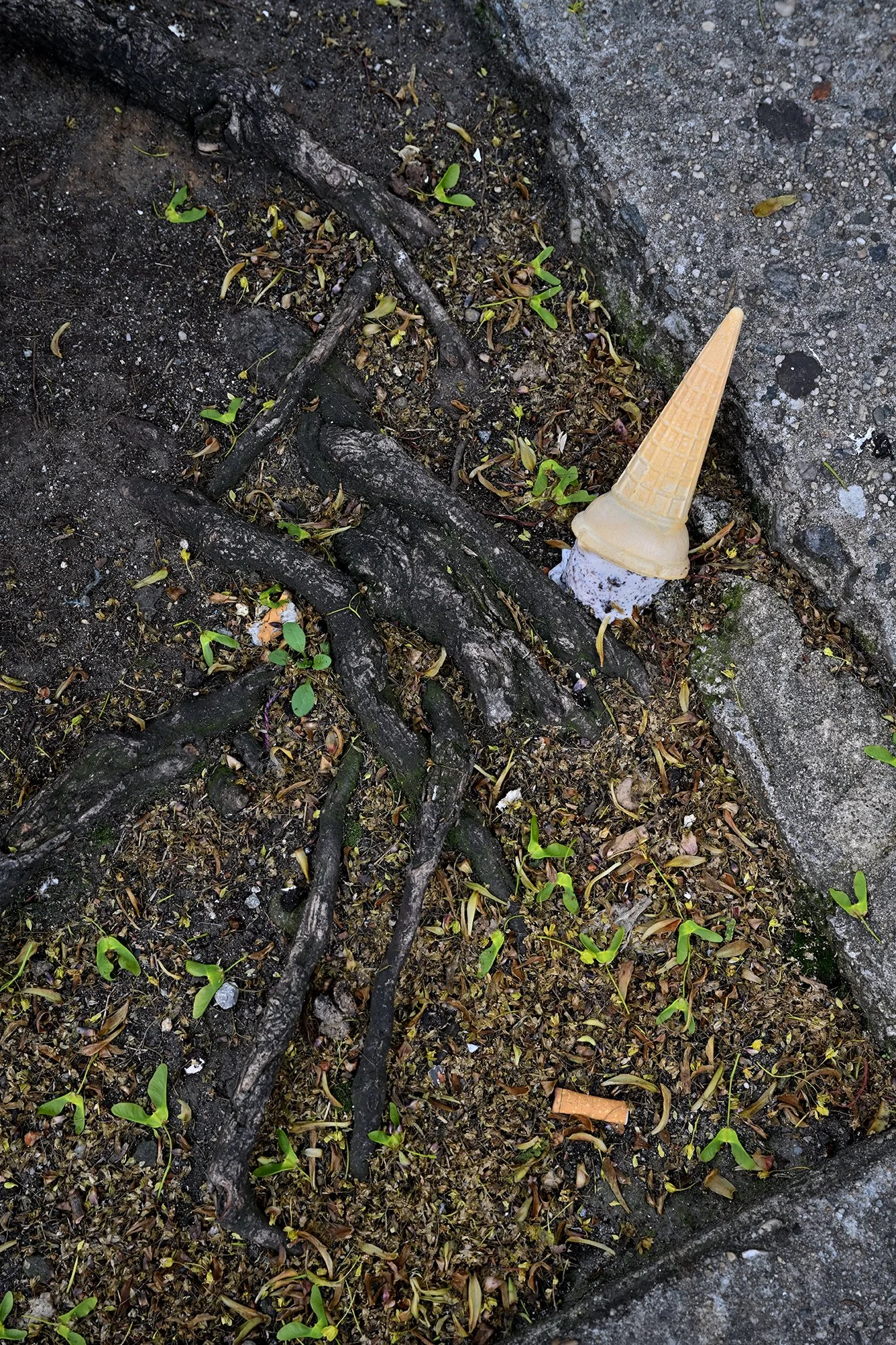 ice_cream_cone_dropped_1F72.jpg