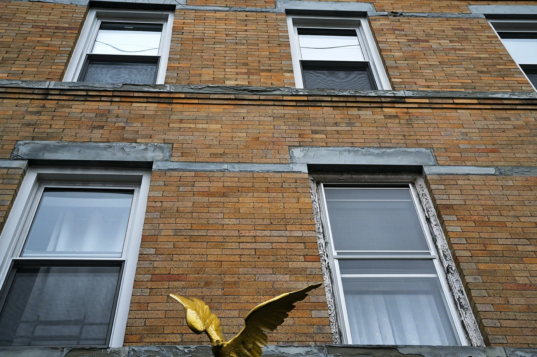 golden_eagle_horizontalF72.jpg