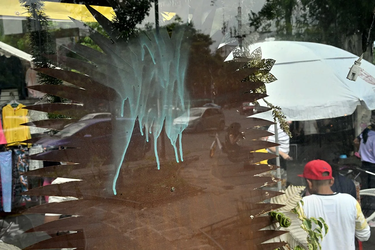 refleccion_virgenback_1.jpg