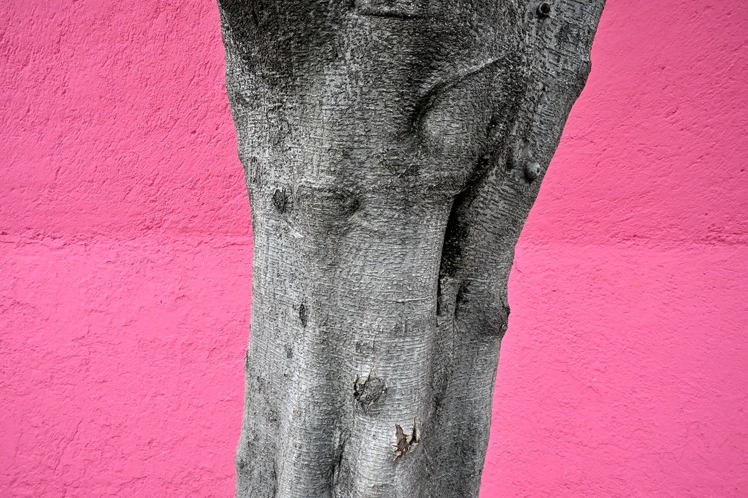 domingoYN_18.jpg
