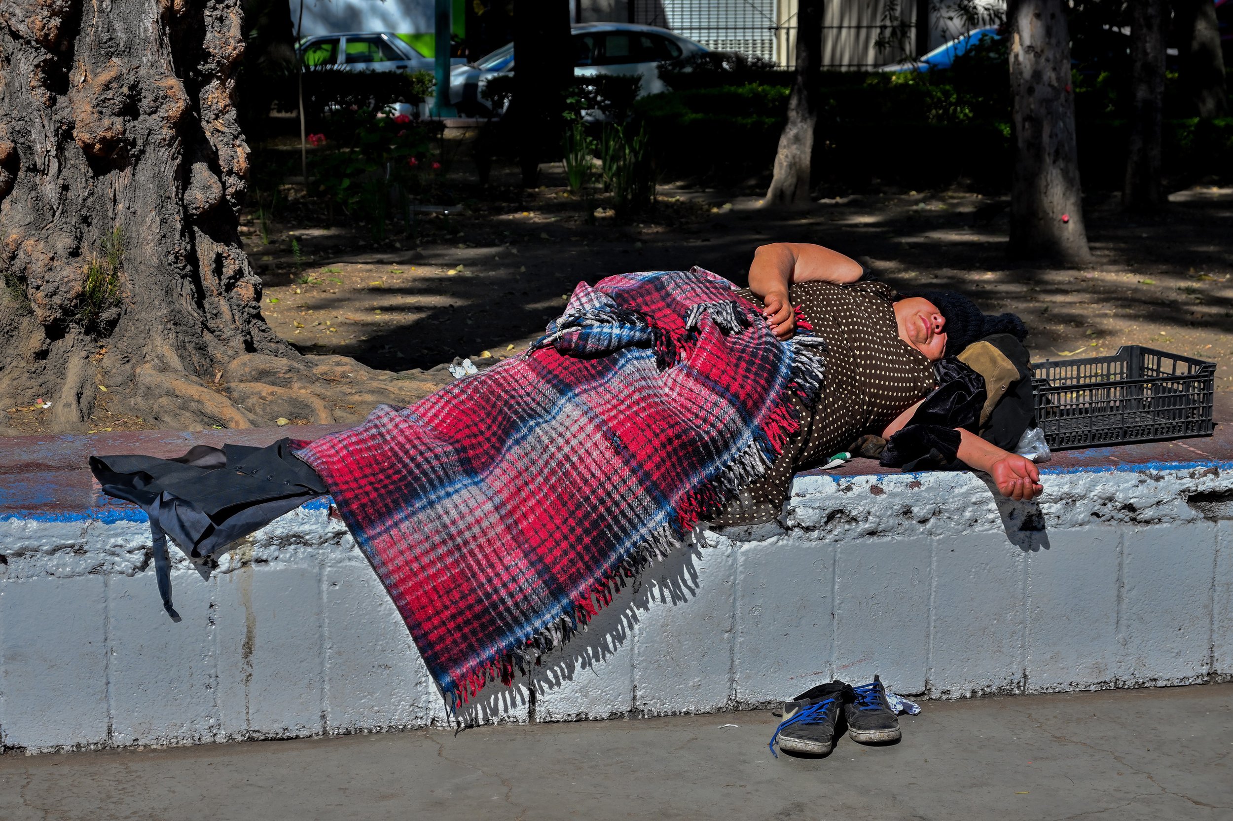 090_durmiendo_canasta_F.jpg