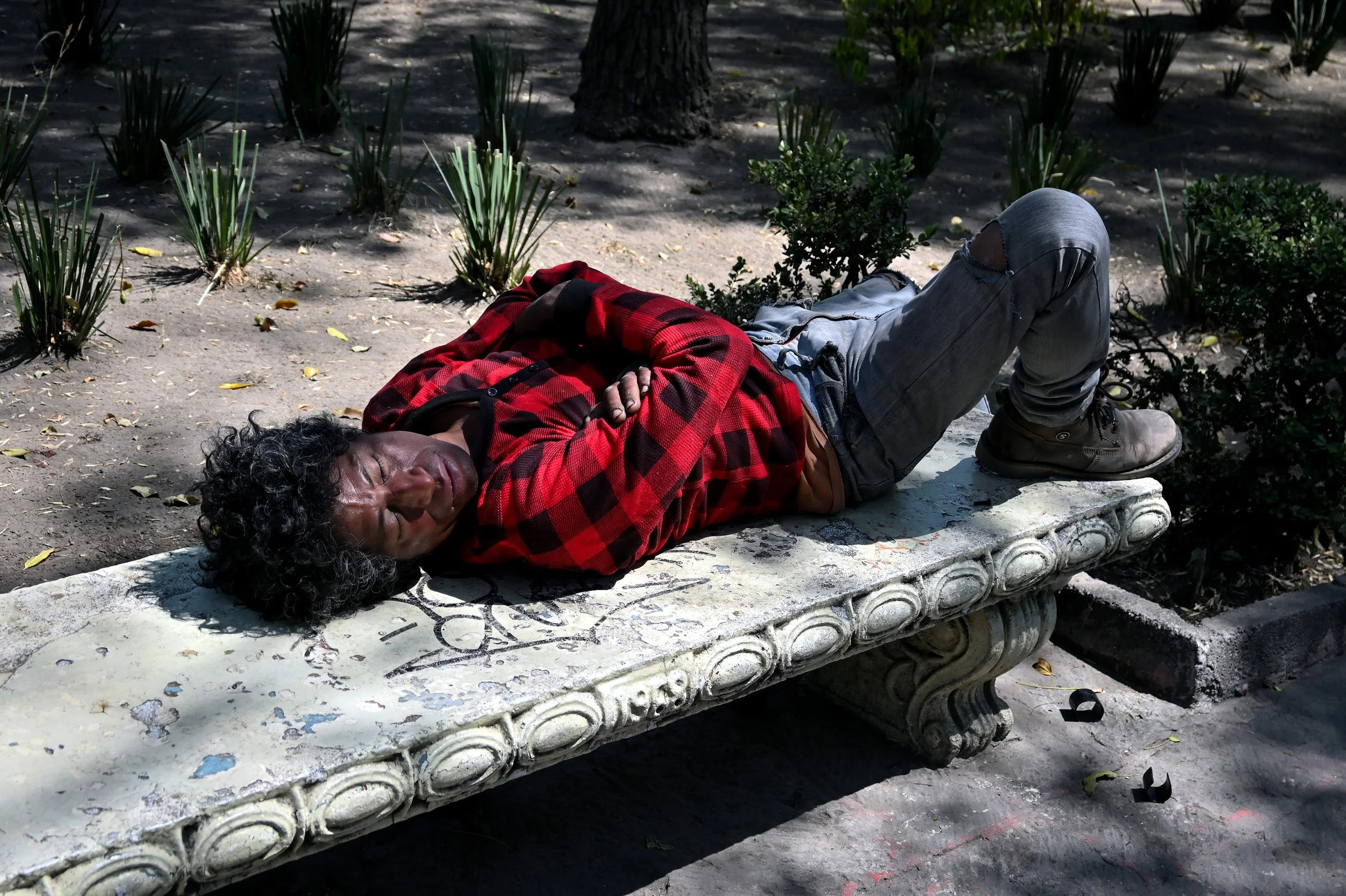 090_durmiendo_checkeredShirt_F.jpg