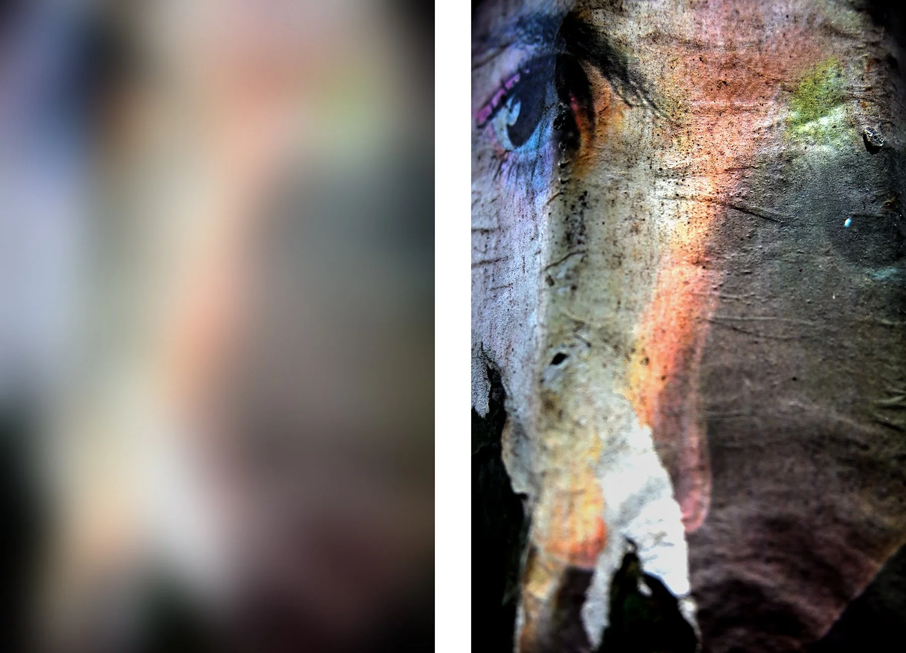 093_found_portrait_ojoscafe_diptych_F72.jpg