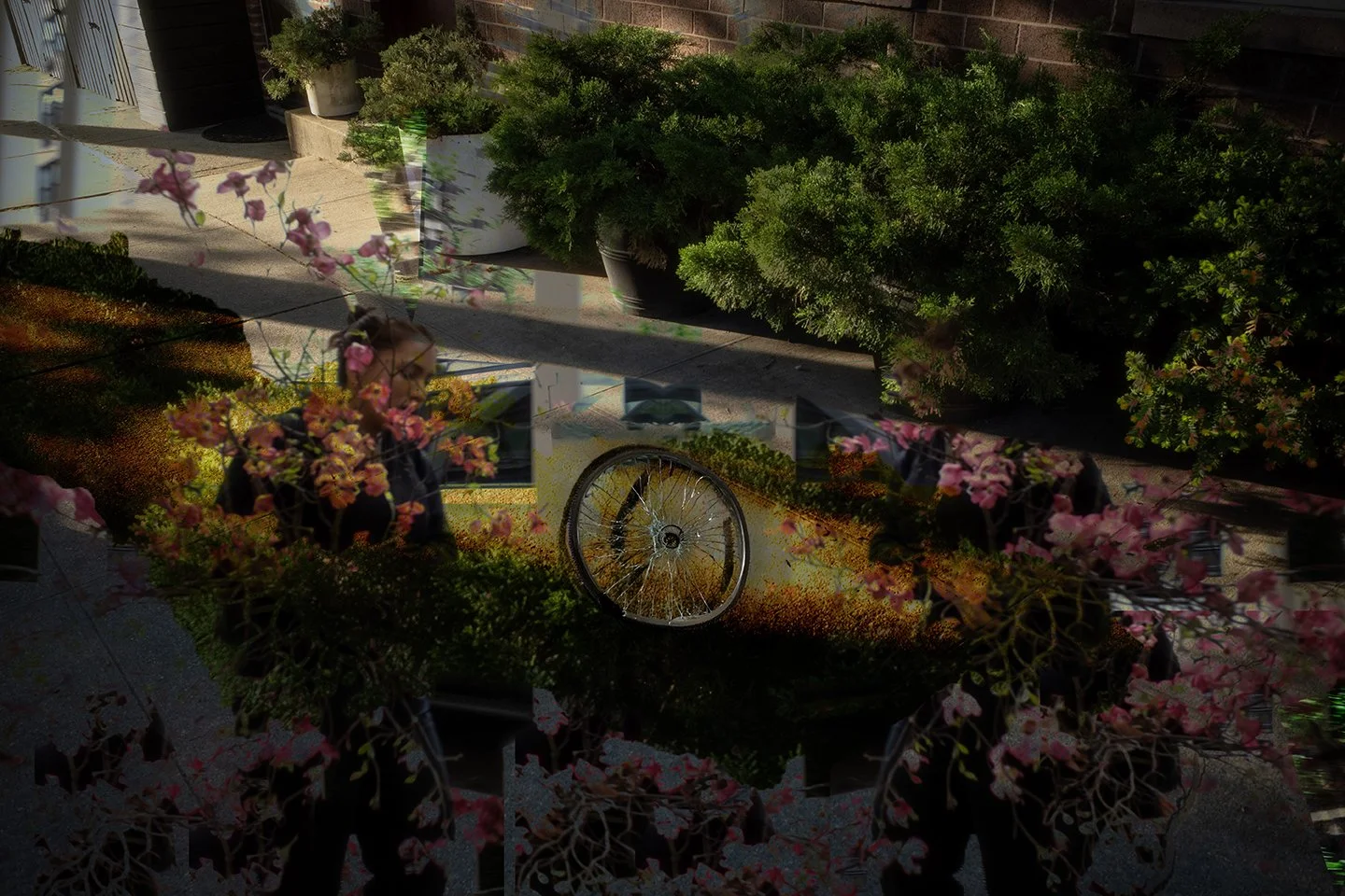 picturedapart_togetherforever_fF72.jpg