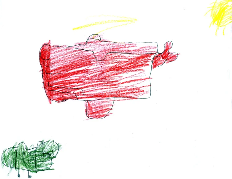 Ryan 6 years old, Grade 1