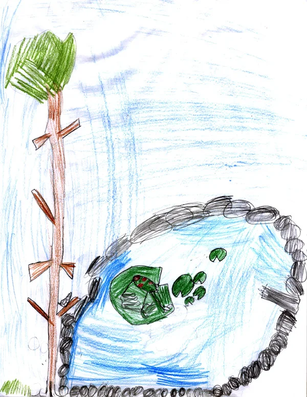 Jackson 7 years old, Grade 1