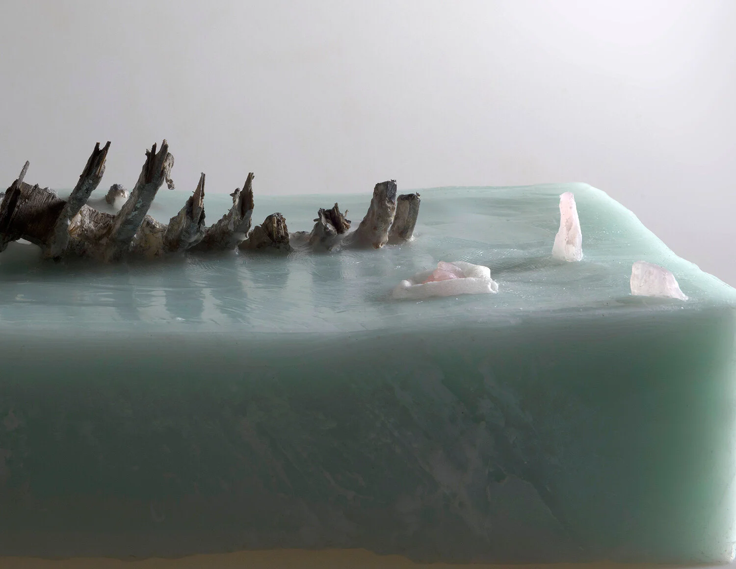 ark_detail_.jpg