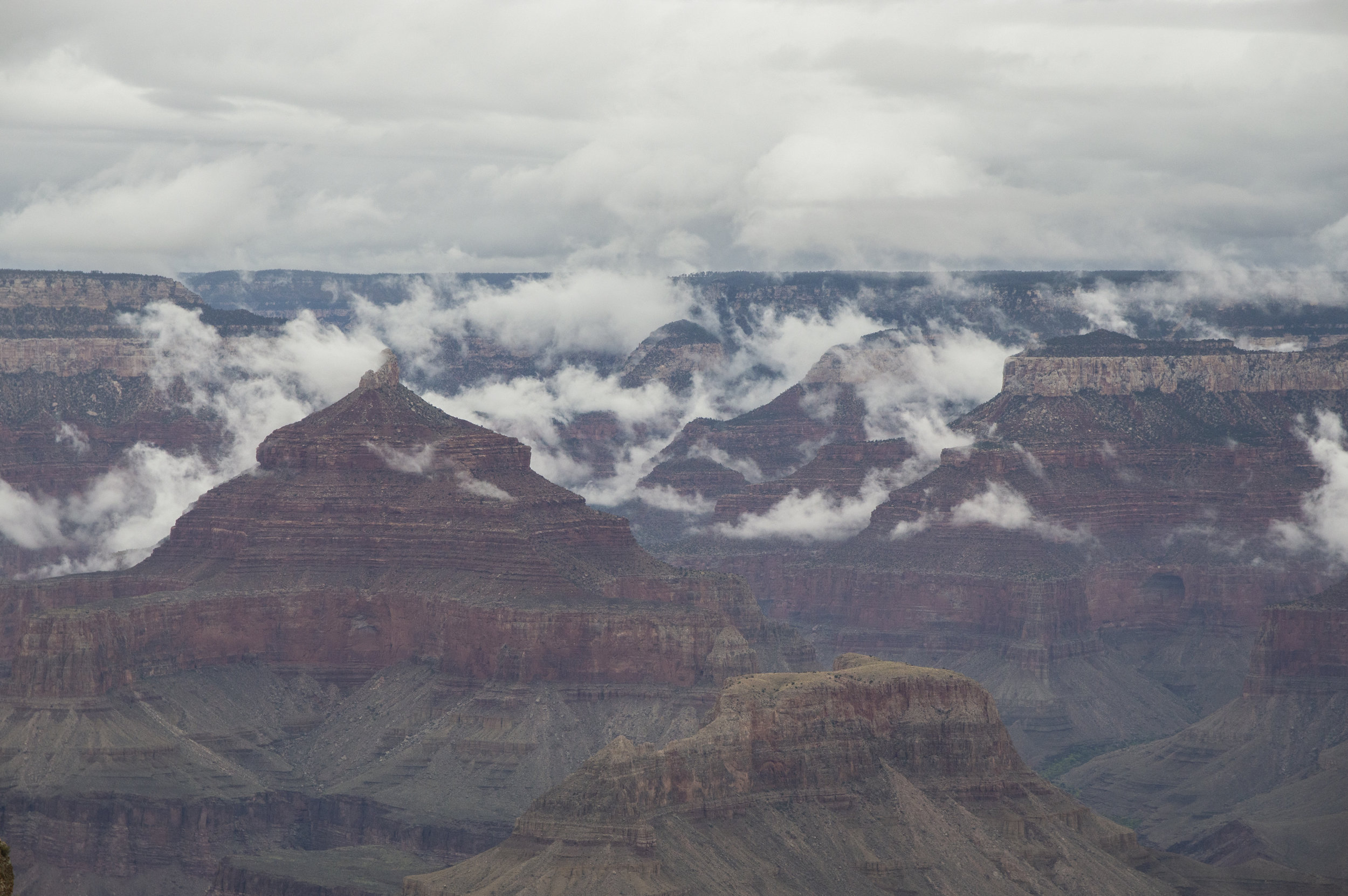 _DSC0691-3.jpg
