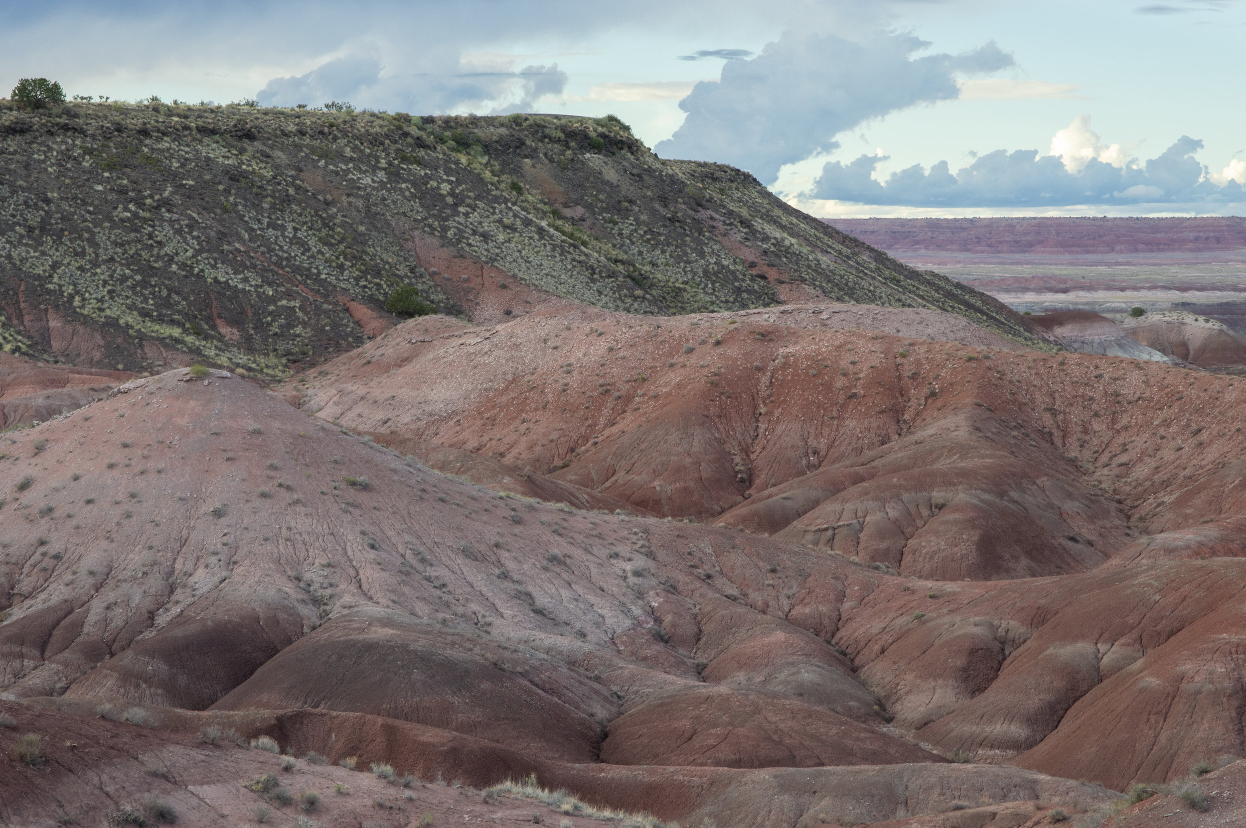 _DSC0205-10.jpg