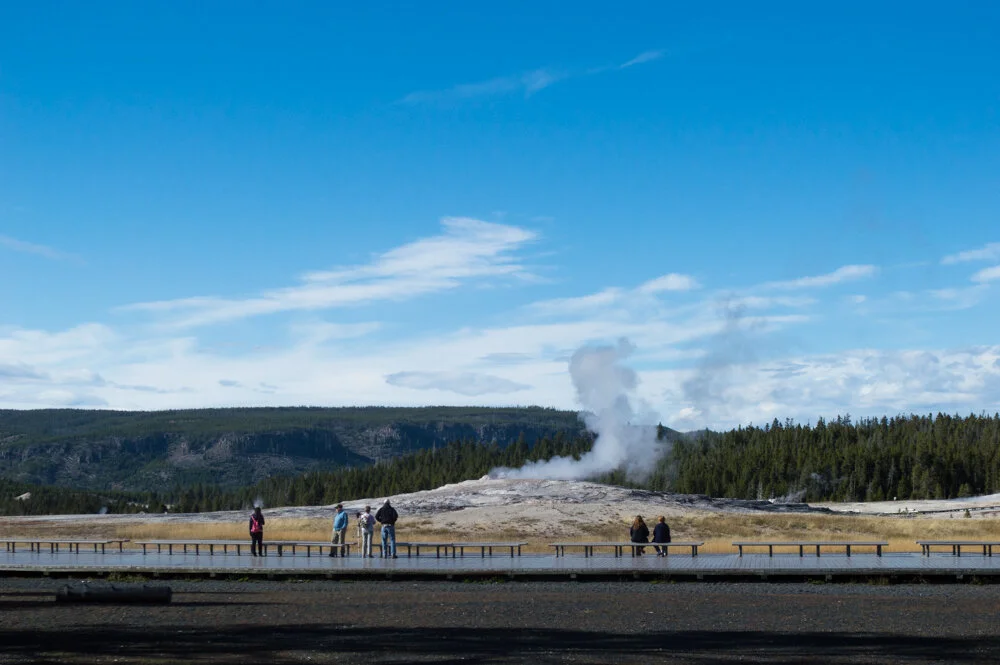DSC_0045-4.jpg