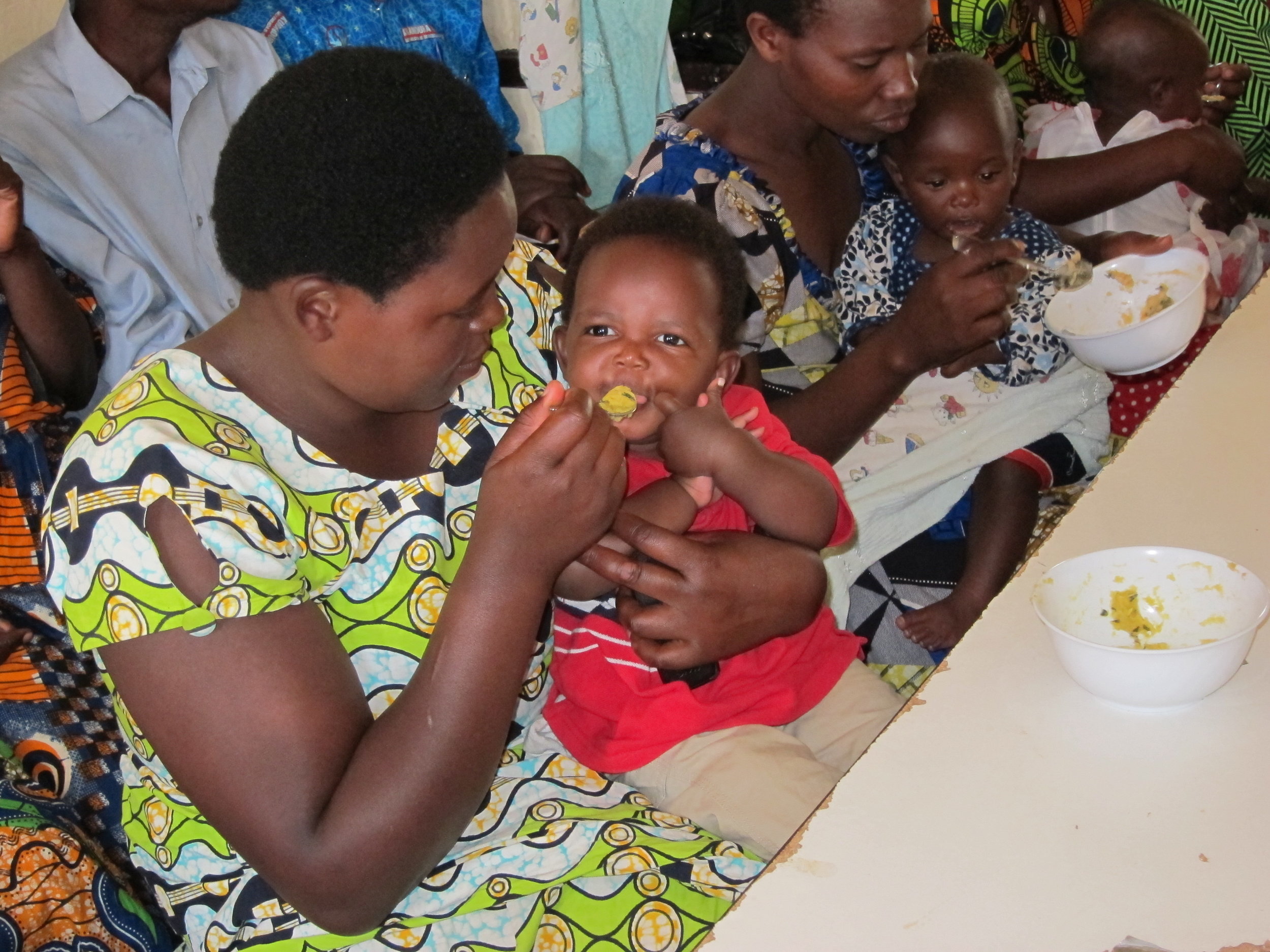 FAO/INFOODS/IZiNCG global food composition database for phytate