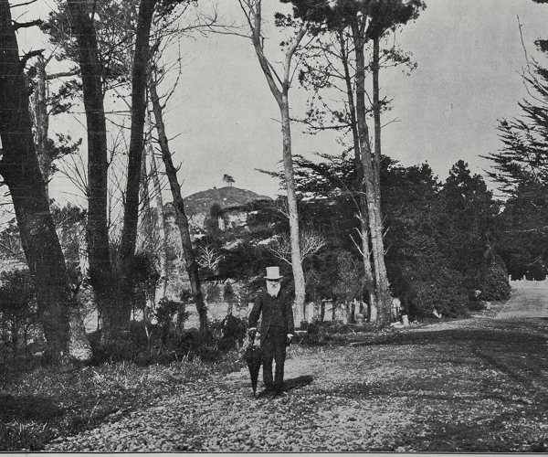 CPE-Website-images-history-014.jpg