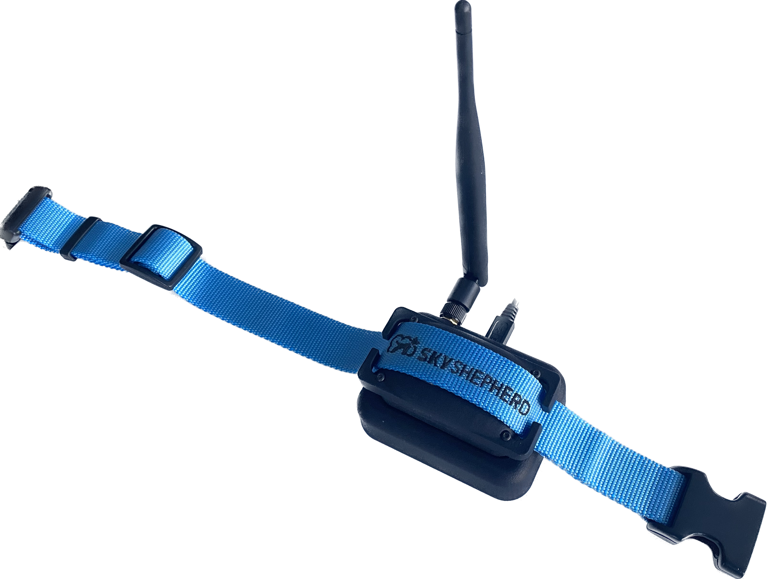 SSG3 Collar on Charger.png