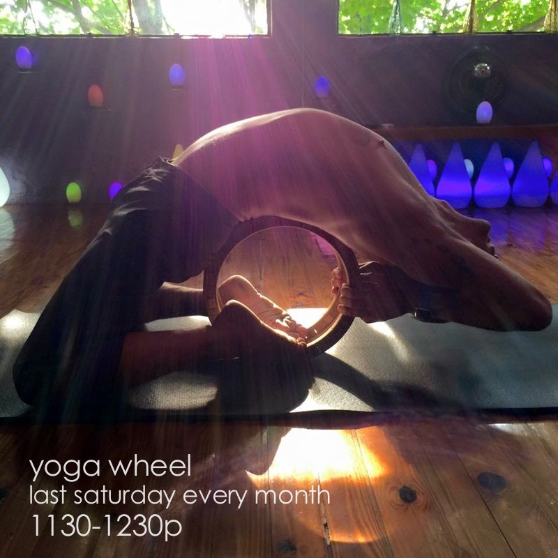 yoga wheel.jpg