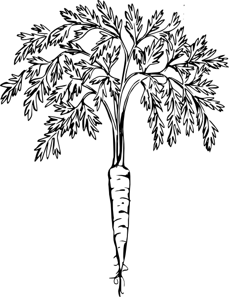 carrot-black-and-white-hi.png