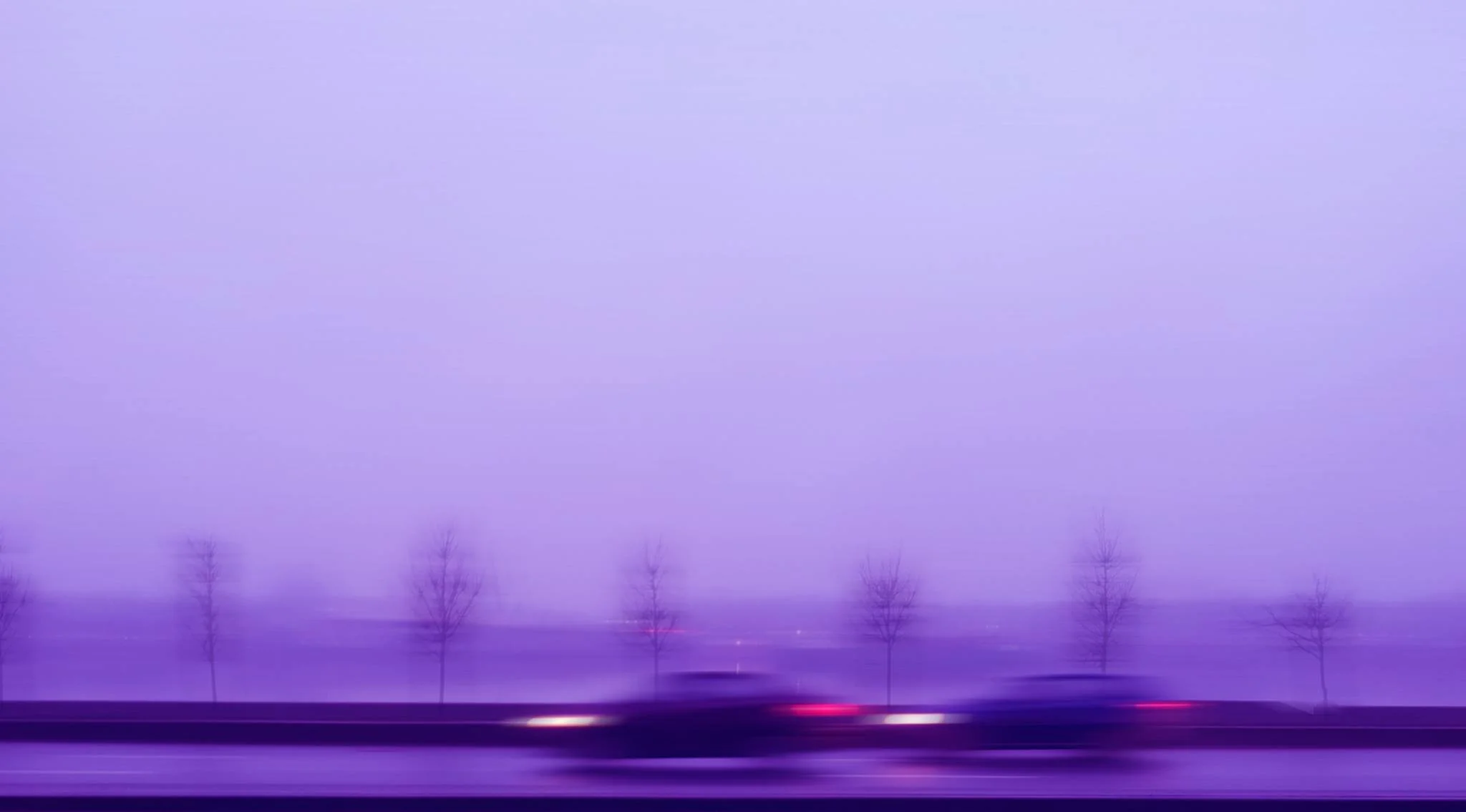 10835427_1385075541803388_5428712527640748156_o.jpg