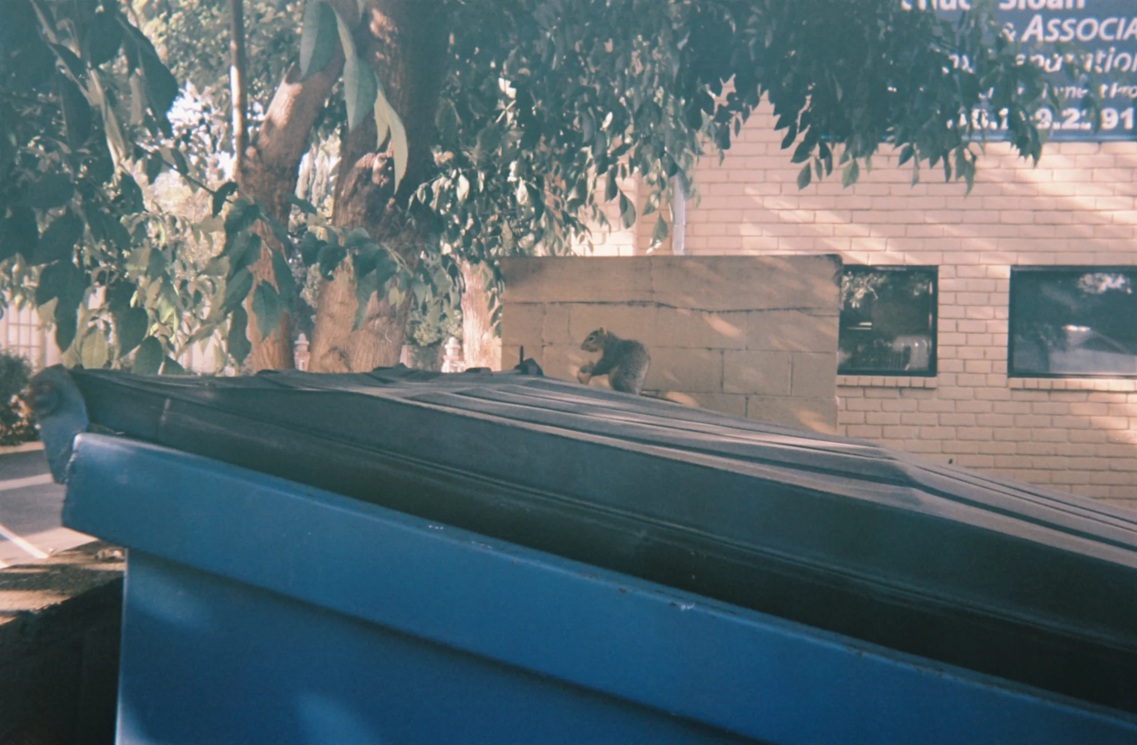 181700-R1-8A copy.jpg