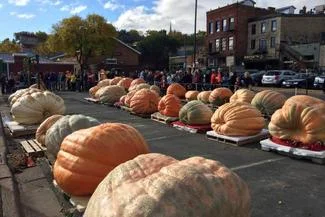 Stillwater Harvest Fest