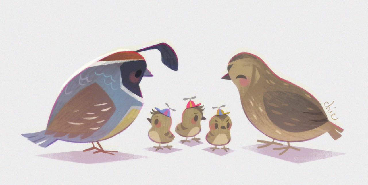 quail7.png