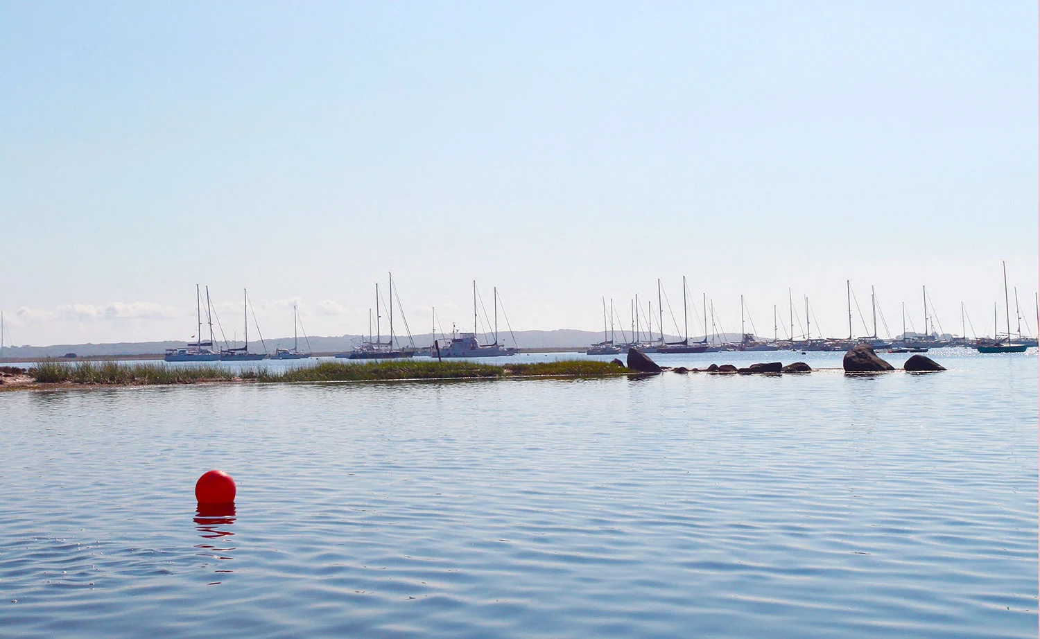 FreshFish-Banner-1w.jpg