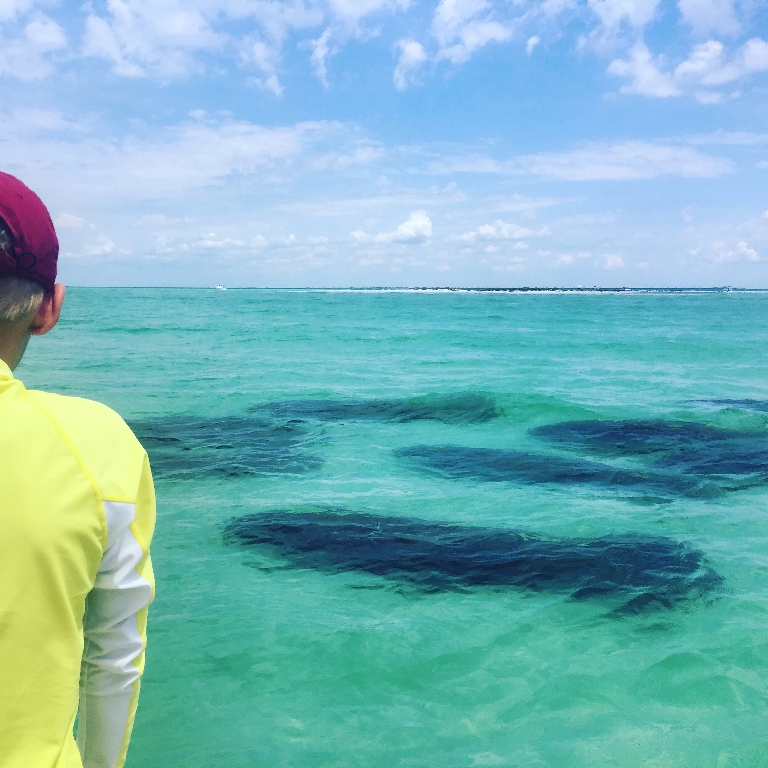 Manatees are a common sighting and surprisingly big!