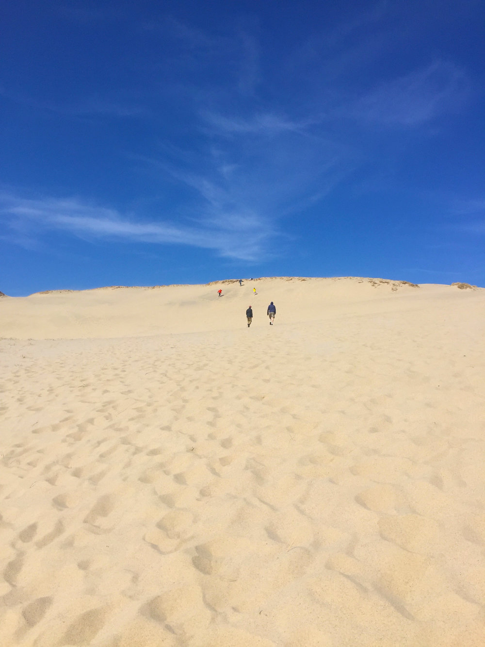 Dunes 2.jpg