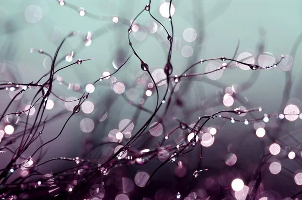 blue sparkles.jpg