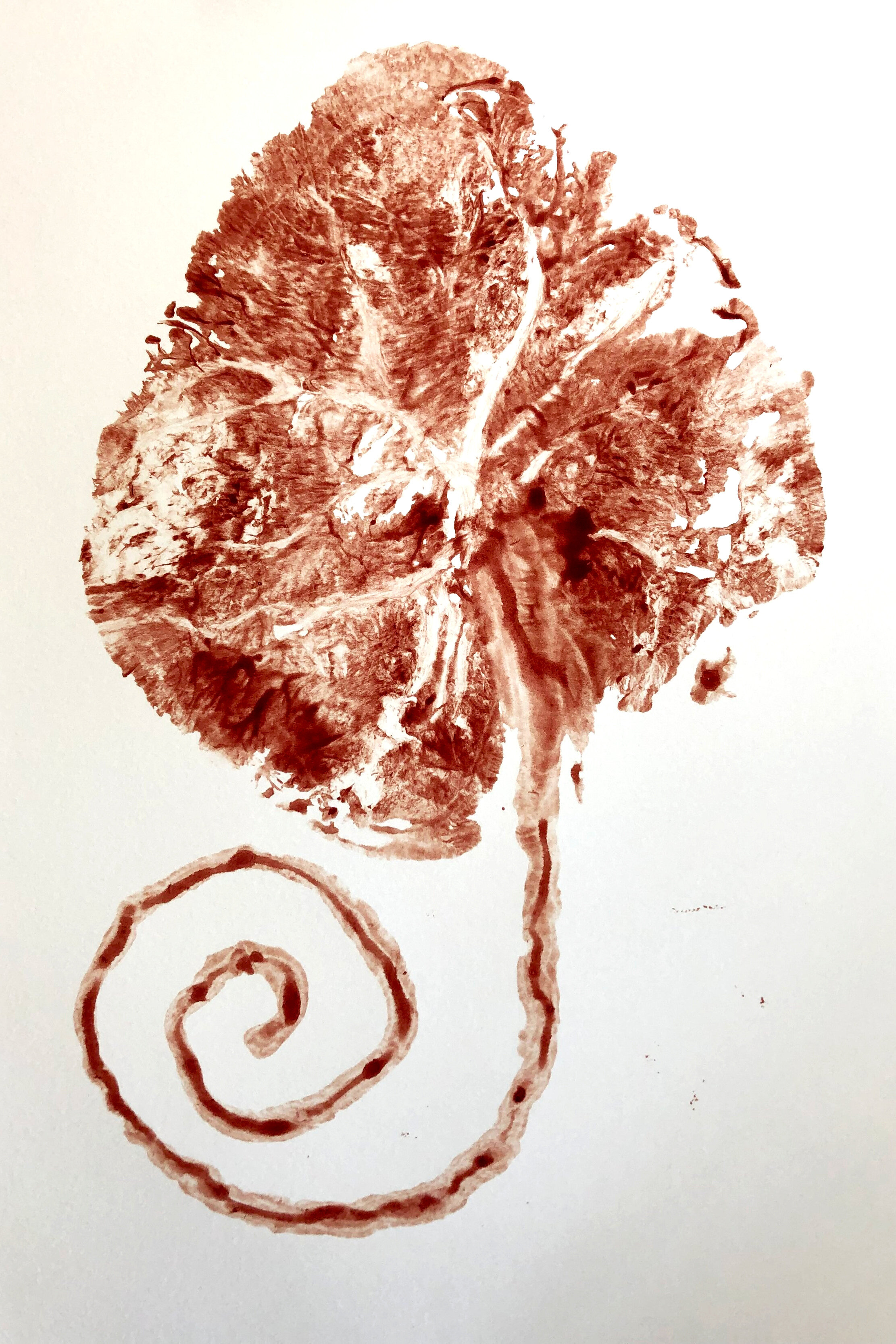 Placenta+Print-1.jpg