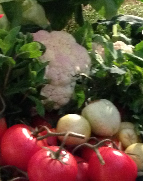 Alemany Market cropped II