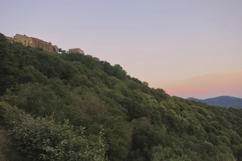 Baciarino_Vetulonia_08.jpg