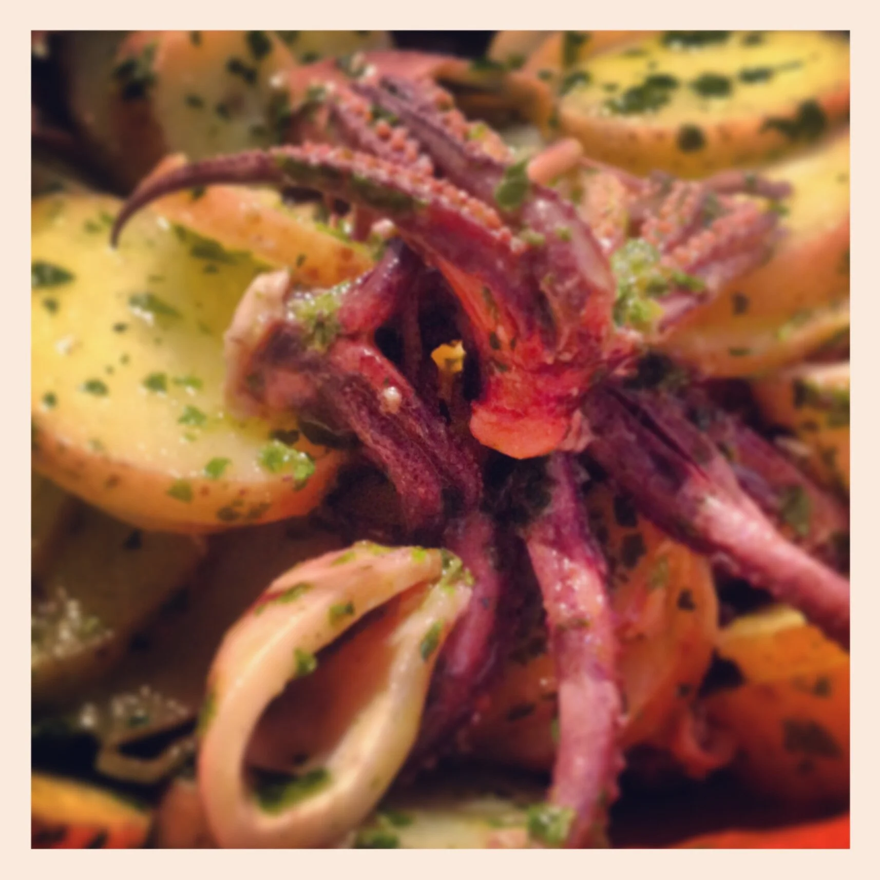 Baby Octopus and Calamari Salad