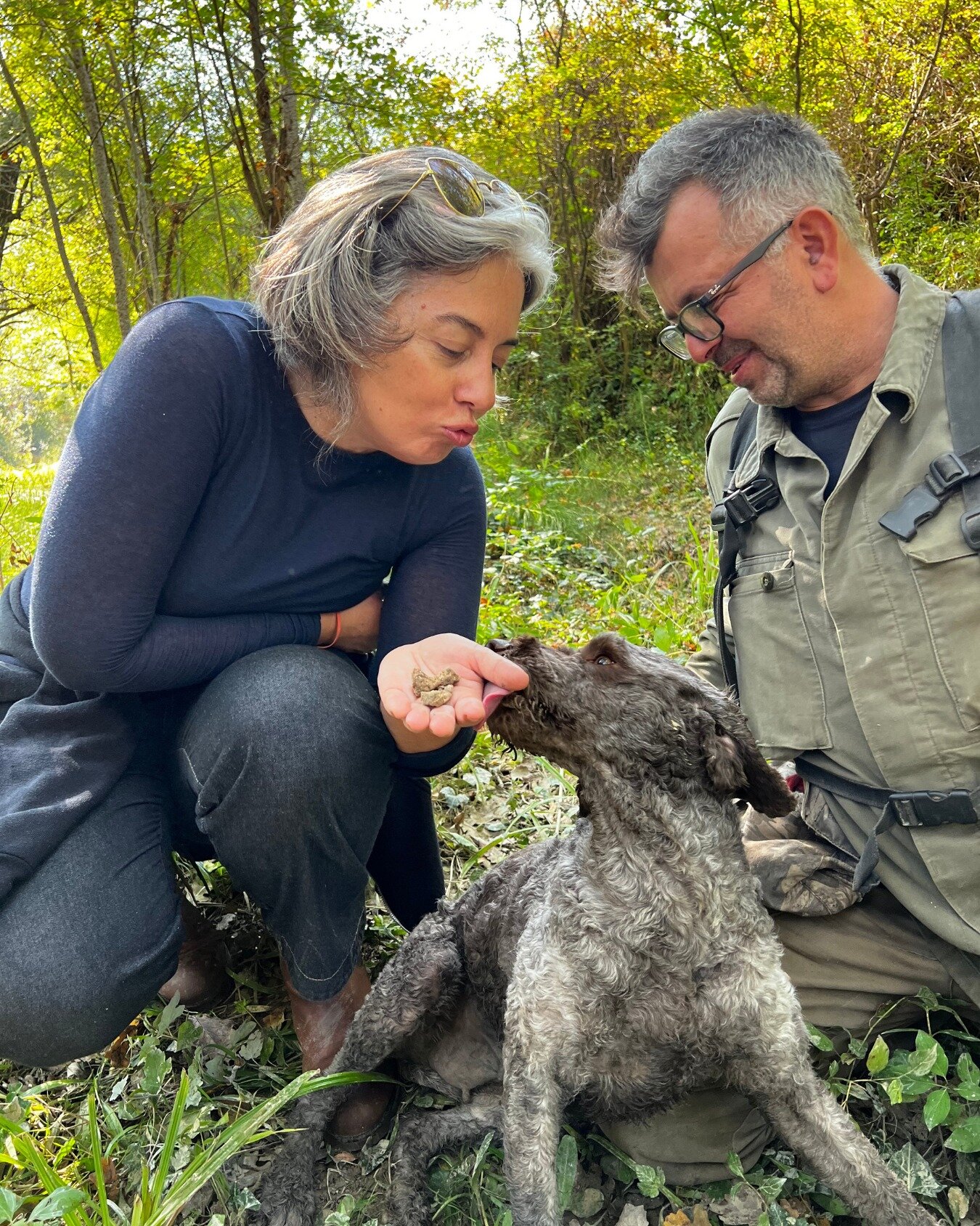 ◽LE MARCHE TOUR◽

This week, I&rsquo;m heading back to Italy for my fall farmhouse foraging tour. I&rsquo;ll be leading a small group through the rich culture of Le Marche, one of Italy&rsquo;s most diverse &mdash; and least explored &mdash; regions.