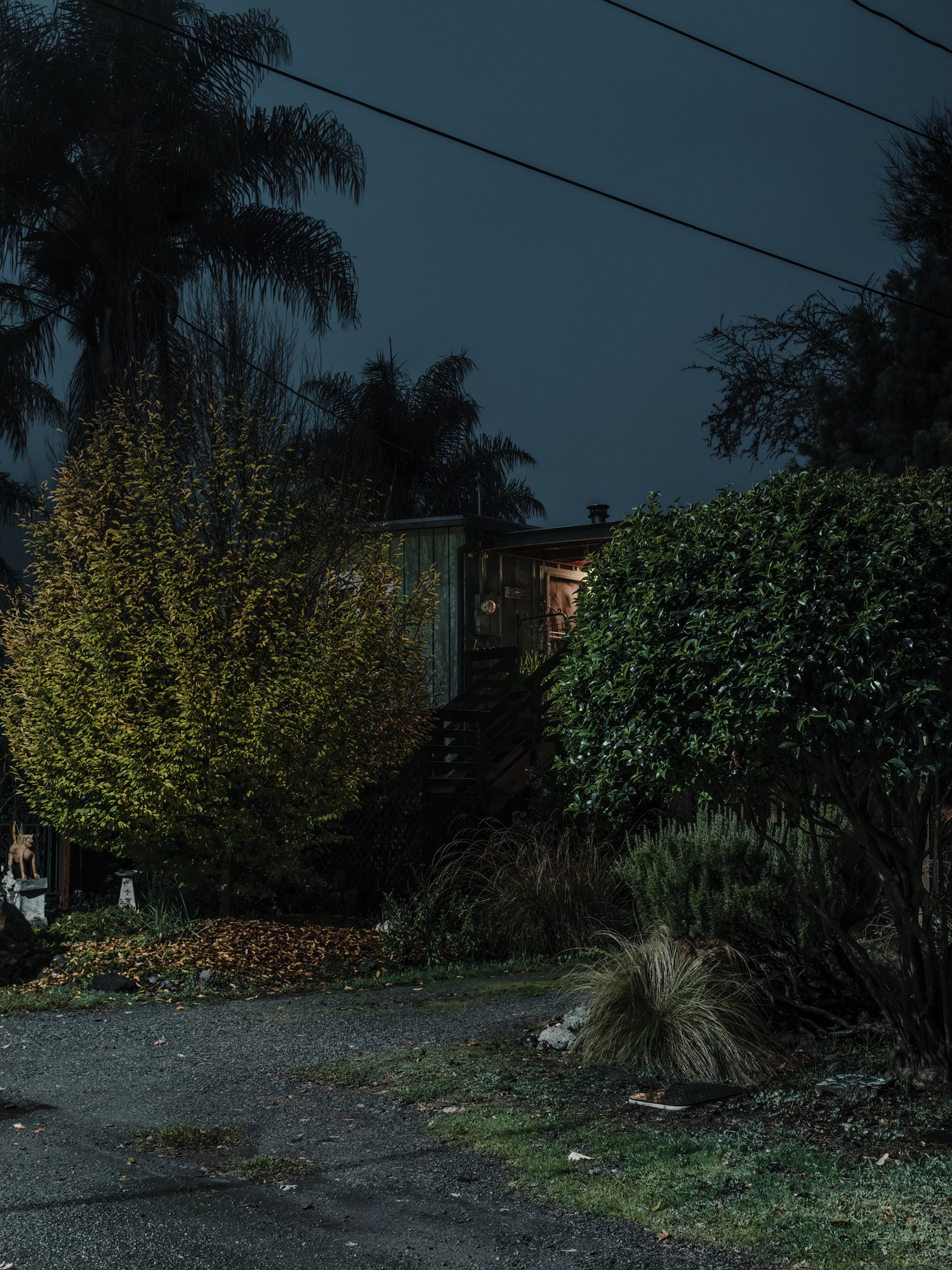    Dog House, Guerneville, CA, 2018   .  Archival Pigment Print.  30” x 40” - Limited Edition of 2 | 24” x 32” - Limited Edition of 3 | 18” x 24” - Limited Edition of 5  Pricing &amp; Purchase Info:  Leon Gallery  