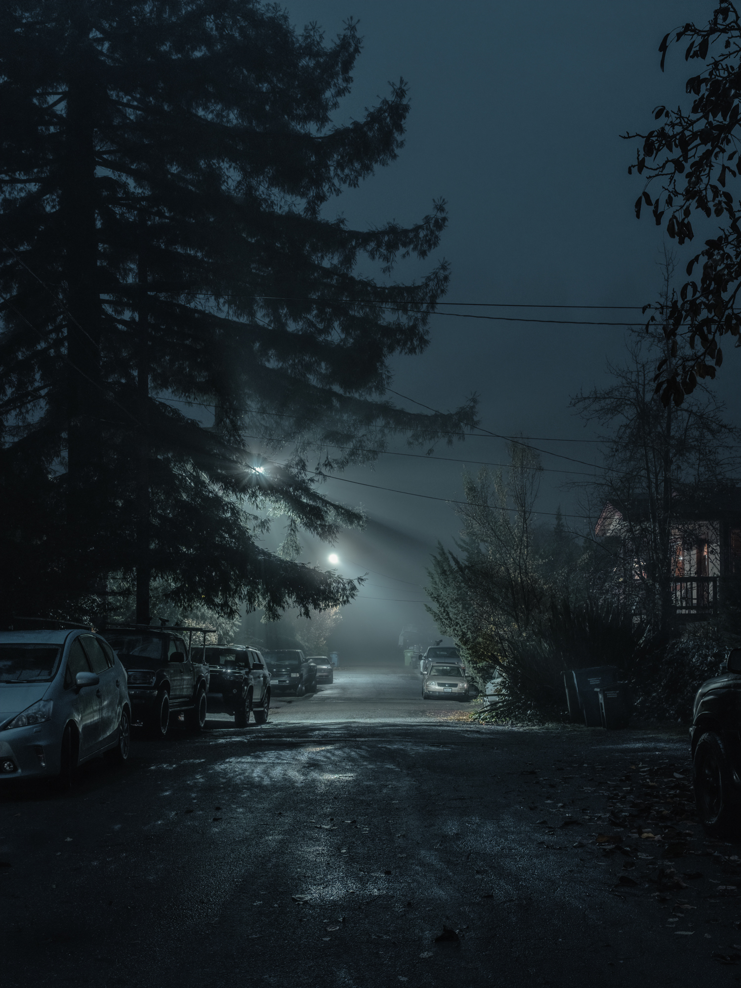    Fog on Eastern Ave, Guerneville, CA, 2018   .  Archival Pigment Print.  30” x 40” - Limited Edition of 2 | 24” x 32” - Limited Edition of 3 | 18” x 24” - Limited Edition of 5  Pricing &amp; Purchase Info:  Leon     Gallery  