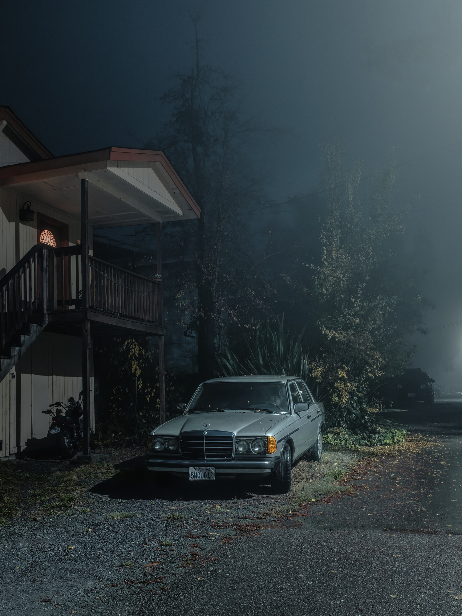    Mercedes, Guerneville, CA, 2018.     Archival Pigment Print.  30” x 40” - Limited Edition of 2 | 24” x 32” - Limited Edition of 3 | 18” x 24” - Limited Edition of 5  Pricing &amp; Purchase Info:  Leon Gallery  