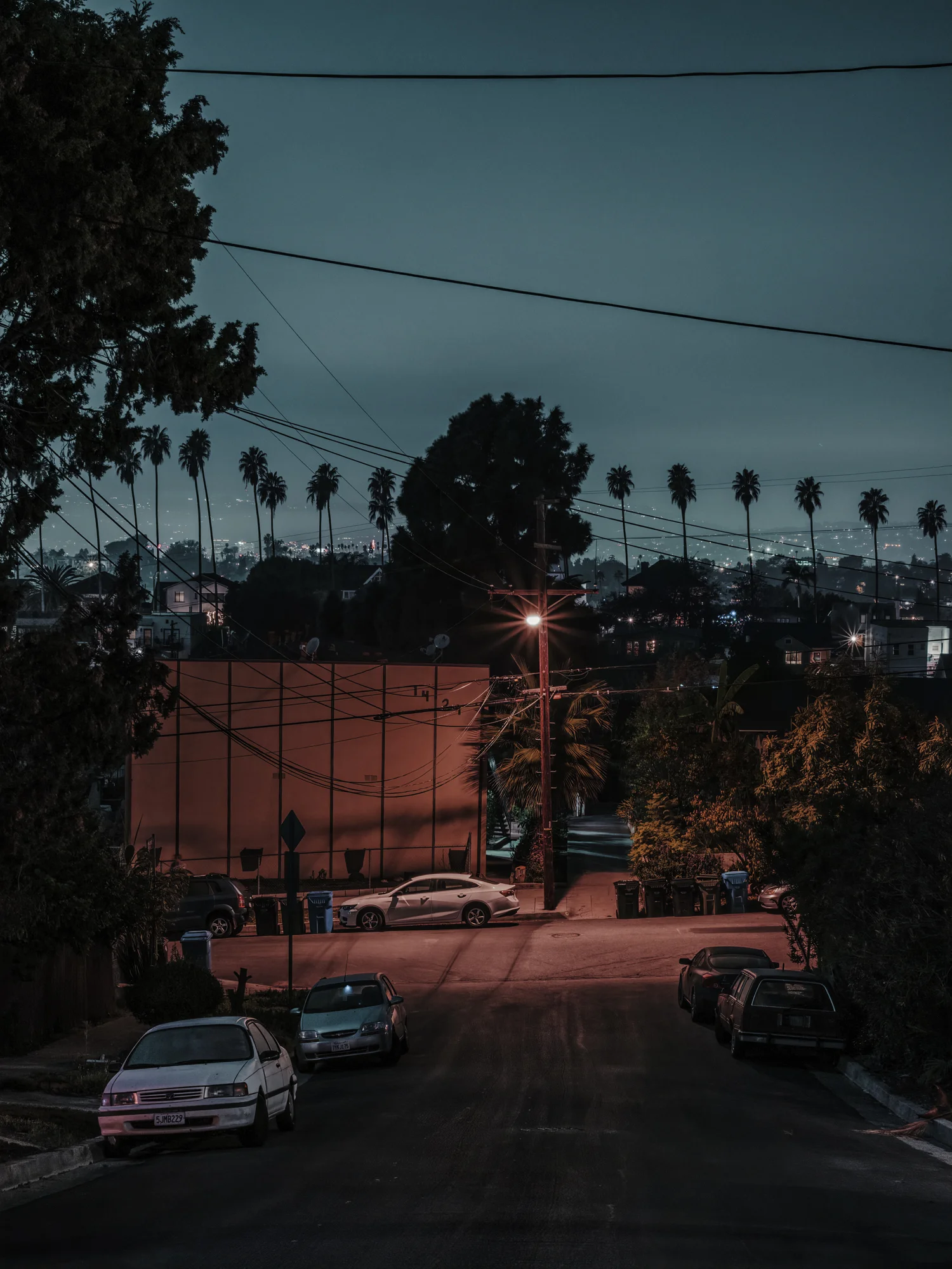 View from MacBeth St. #2, Los Angeles, 2018. 24” x 18”, Limited Edition of 5. Archival Pigment Print, Hahnemuhle Fine Art Paper. Pricing & Purchasing Info