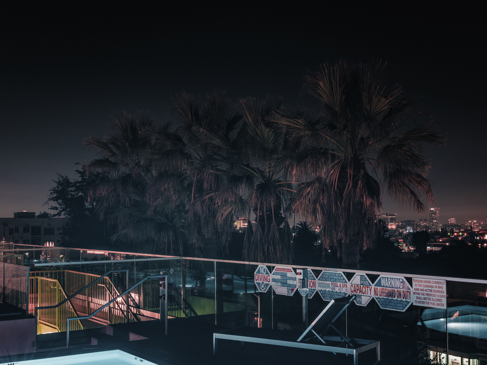    Palms from Rooftop Pool, Los Angeles, 2018.     Archival Pigment Print.  30” x 40” - Limited Edition of 2 | 24” x 32” - Limited Edition of 3 | 18” x 24” - Limited Edition of 5  Pricing &amp; Purchase Info:  Leon Gallery  