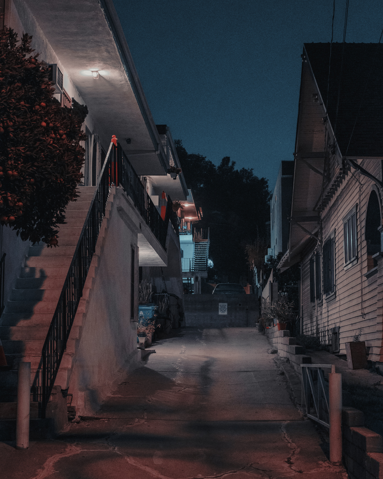 Alley View from Portia to Sutherland, Los Angeles, 2018