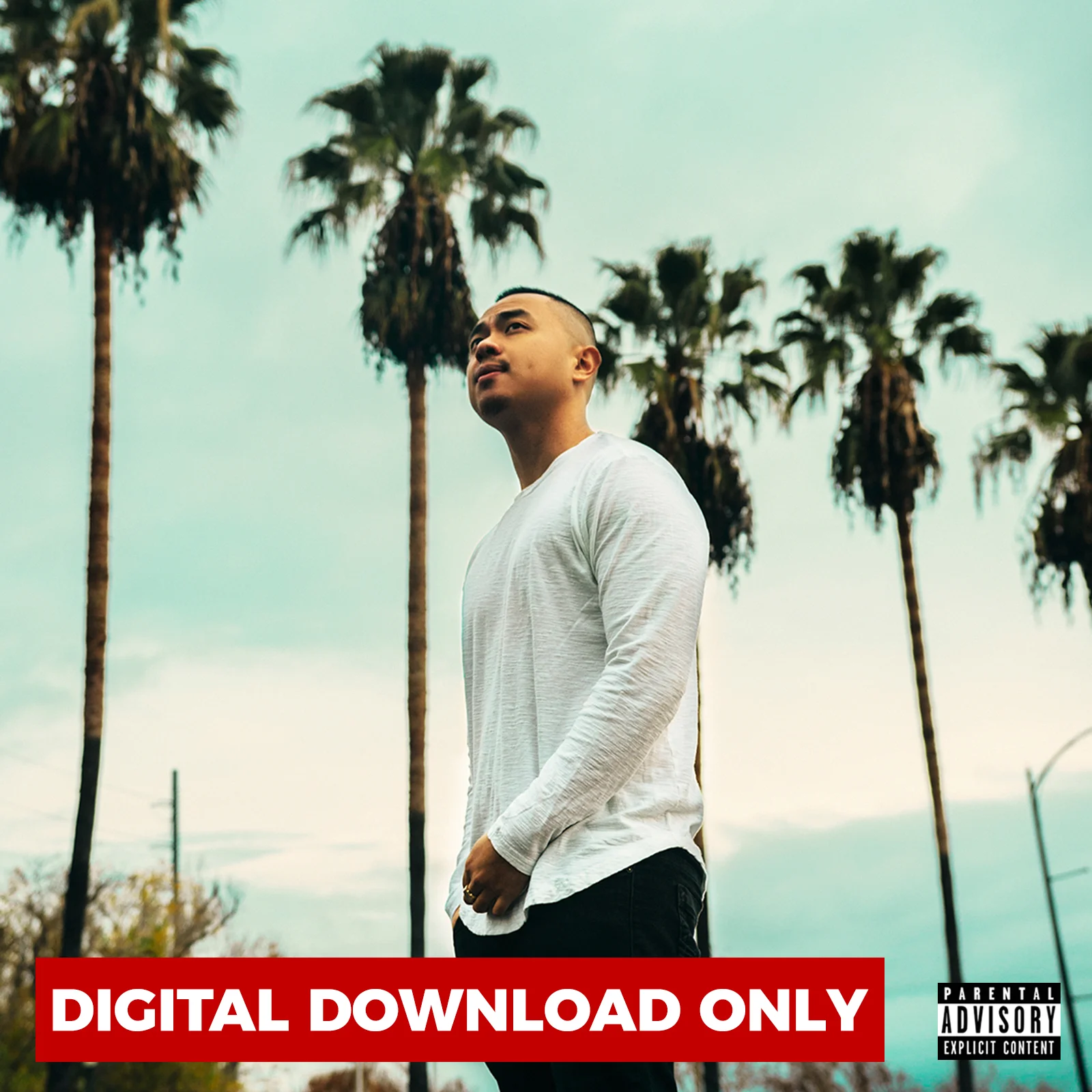 Kusta Vibes Album - Digital Download