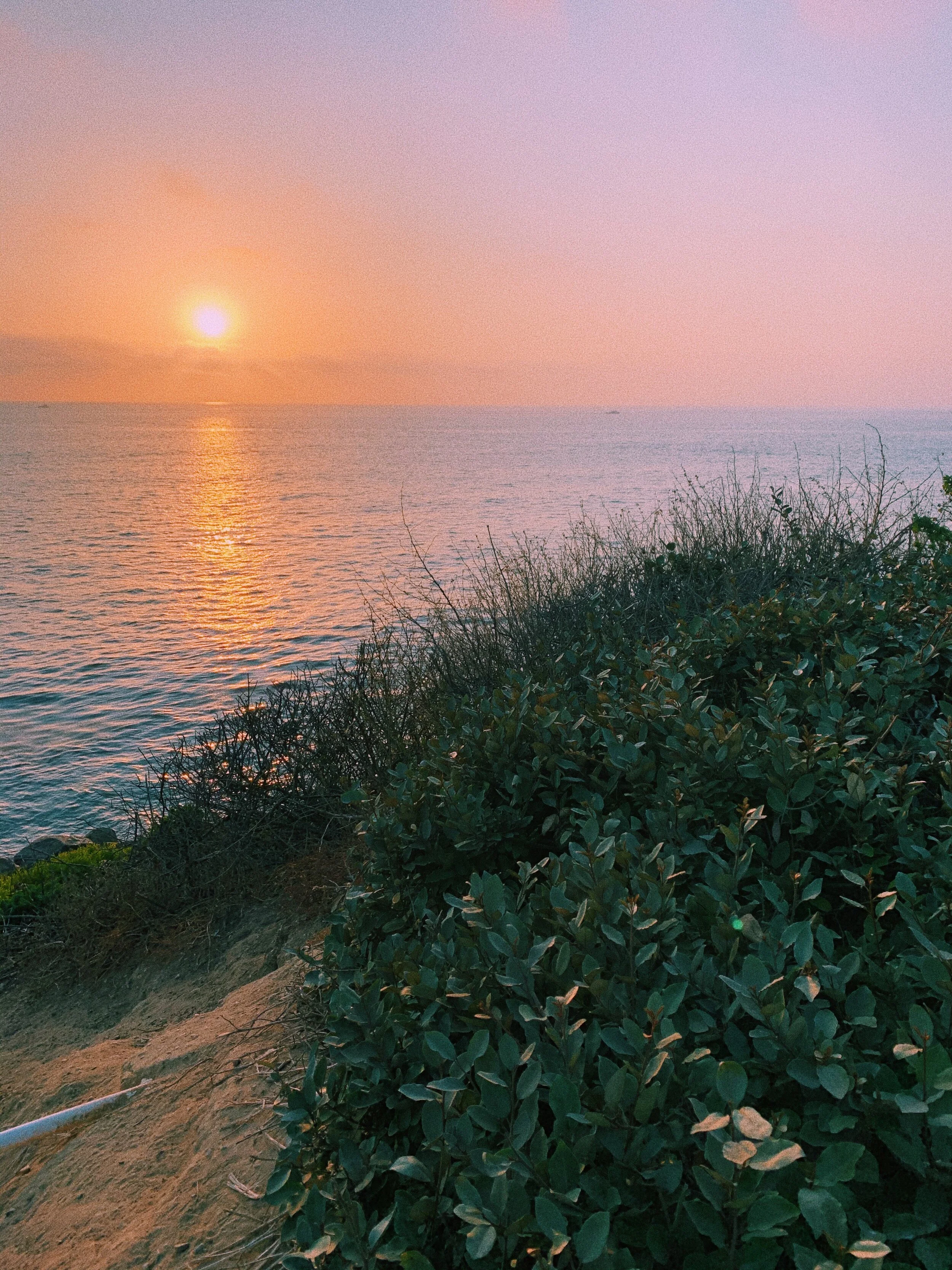 another year, another place.