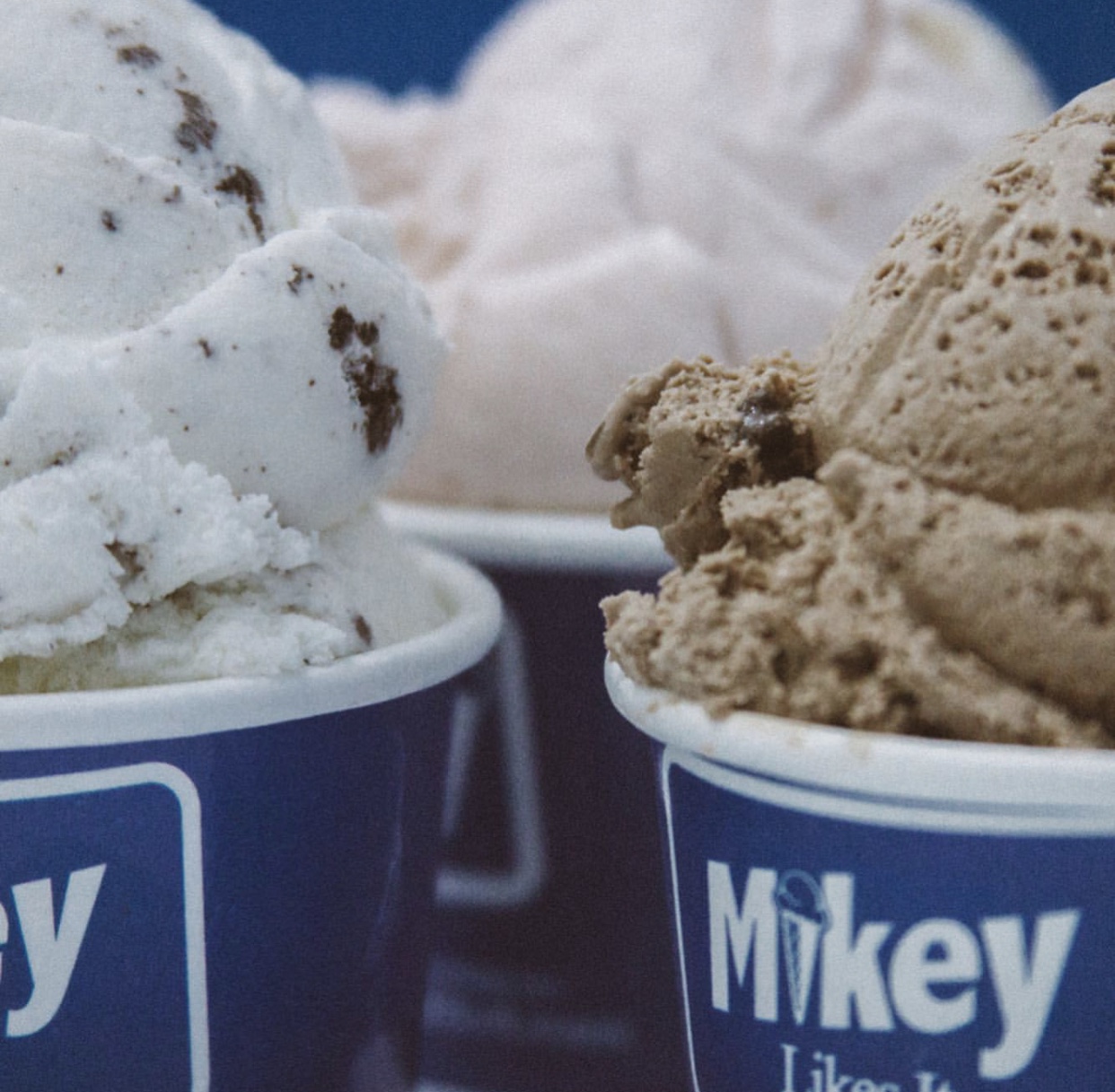 Vegan Flavors