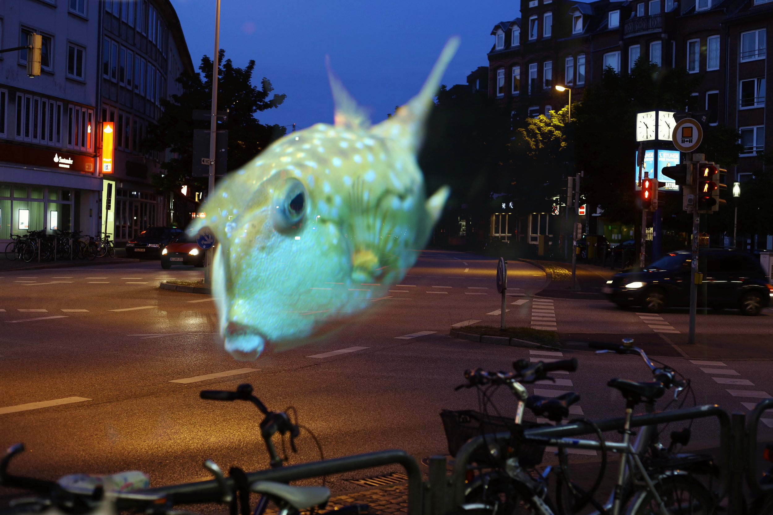 Fish crossing at Dreieksplatz.jpg