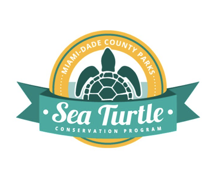 Sea Turtle Conservation program.png
