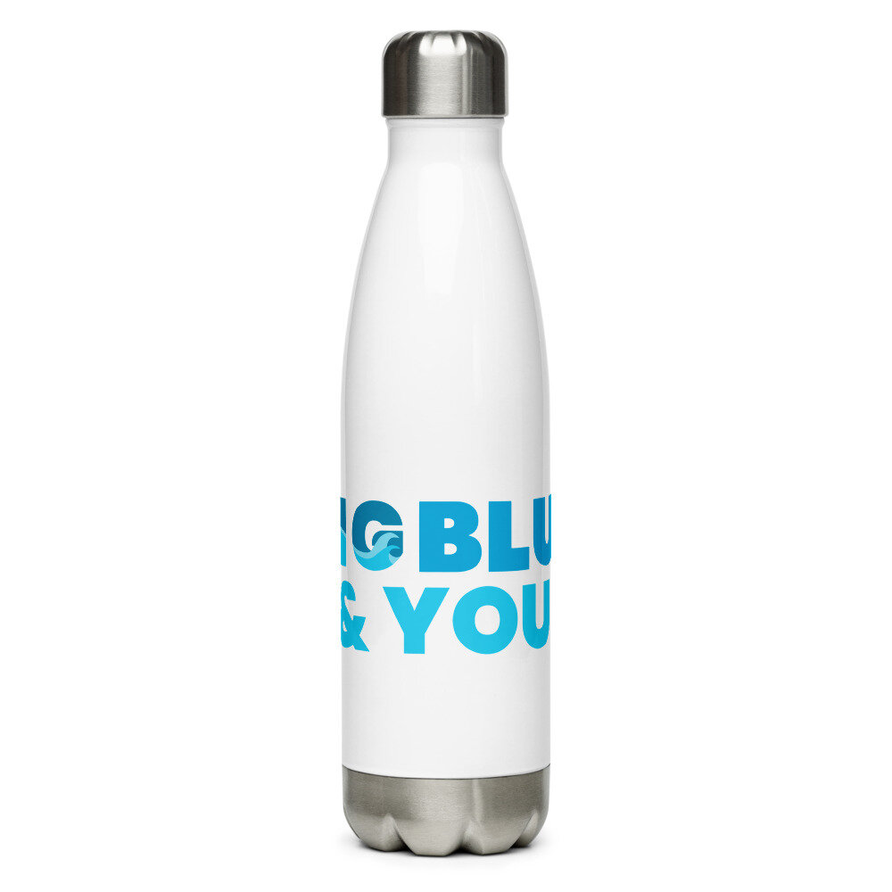 Big Blue & You Stainless Steel Water Bottle — The Big Blue & You