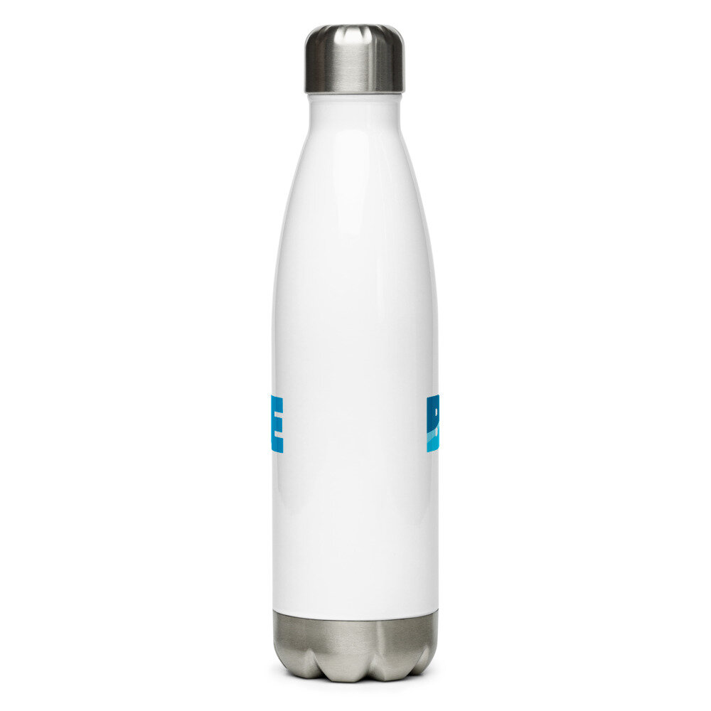 Big Blue & You Stainless Steel Water Bottle — The Big Blue & You