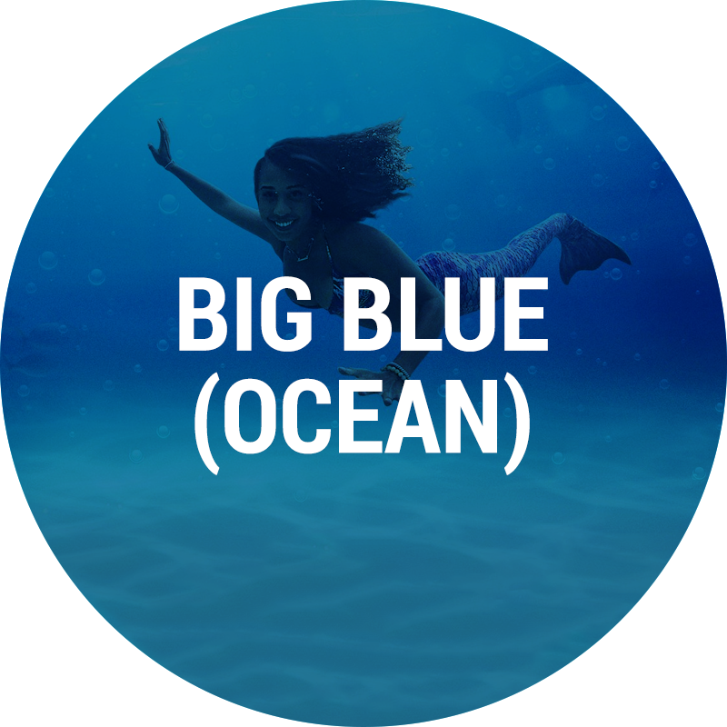 Big-Blue-Ocean.png