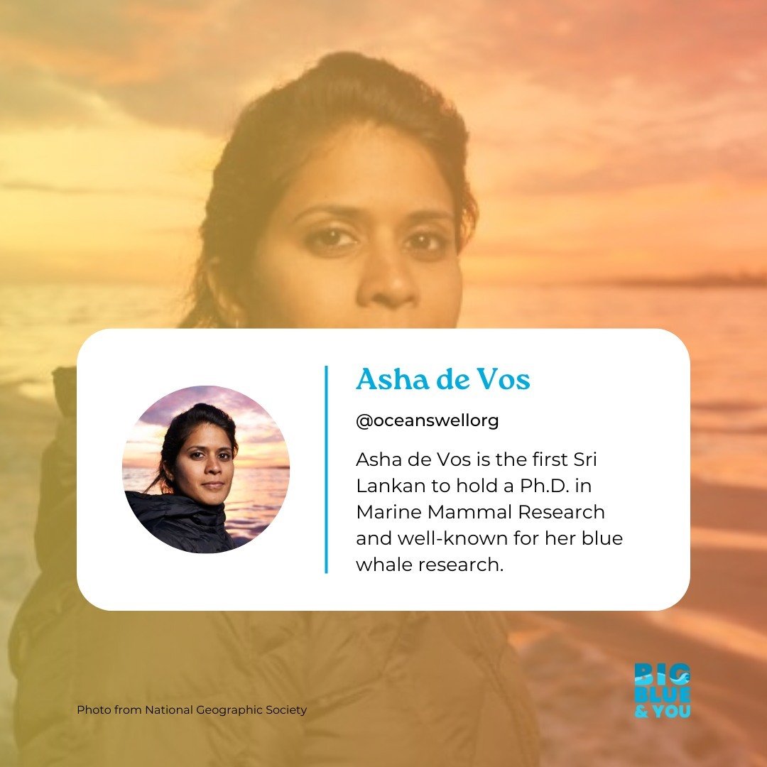 Today we'd love to highlight the amazing Asha de Vos, the first Sri Lankan to hold a Ph.D. in Marine Mammal Research and well-known for her blue whale research. She also started @oceanswellorg, Sri Lanka&rsquo;s first marine conservation research and